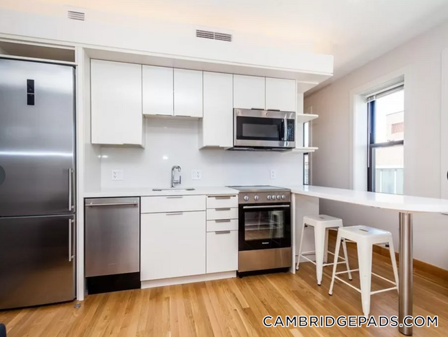 Building Photo - 115 Mt Auburn St Rental