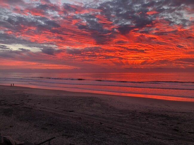 Building Photo - 1320 Seacoast Dr Unit P