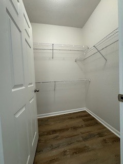 Photo - Westshore Palms