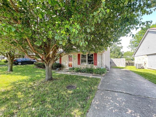 Photo - 1559 Summerhill Dr