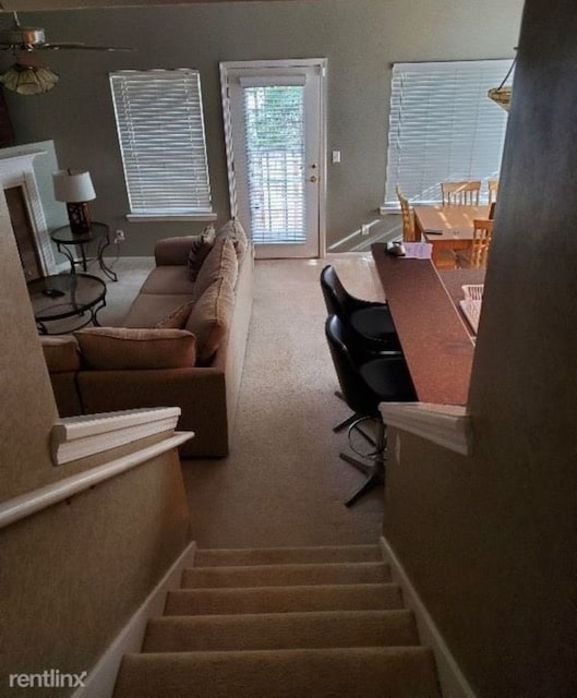 Photo - 13 Orchid Ln