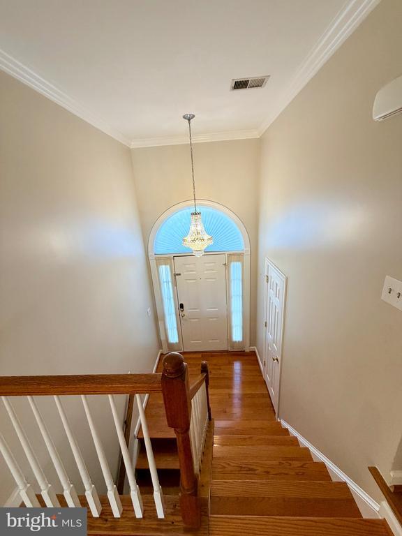 Photo - 4722 Minor Cir