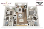 Aster Vista