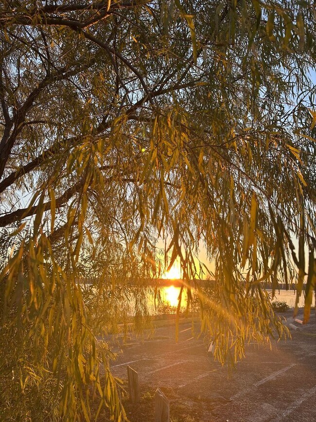 Photo - 734 Benchmark Trail