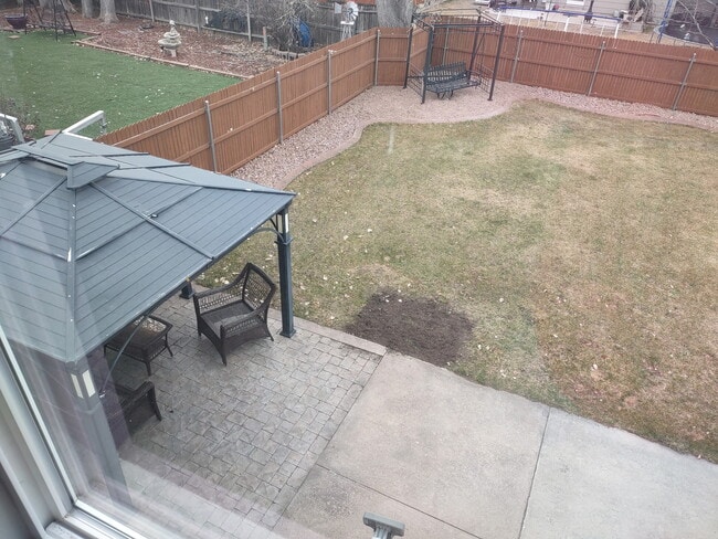 Photo - 4107 Brush Creek Rd