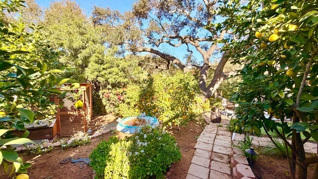 Photo - Darling Open Studio Layout Guest Home unit on Lush and Beautifully Landscaped Private Property in...