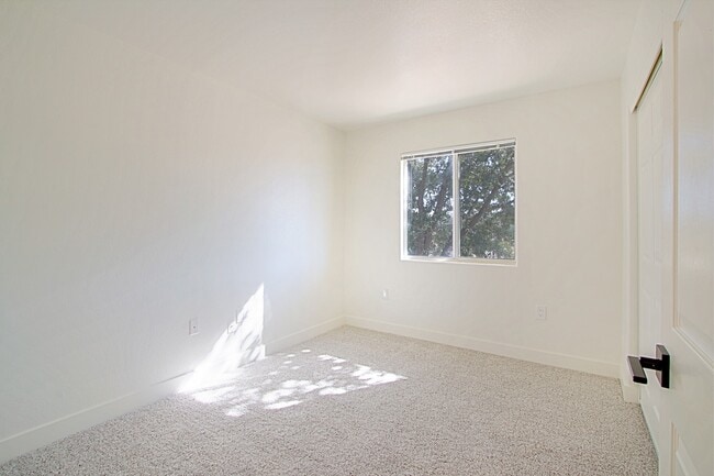 Marana Apartments - Marana Apartments