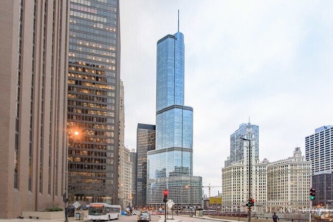 Building Photo - 401 N Wabash Ave Unit 39G Rental