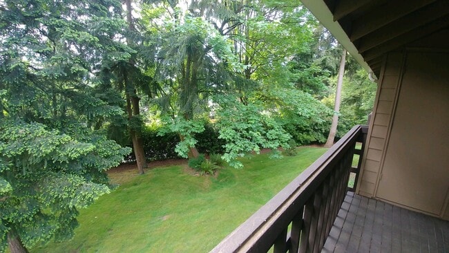 Relaxing Open Green Spaces