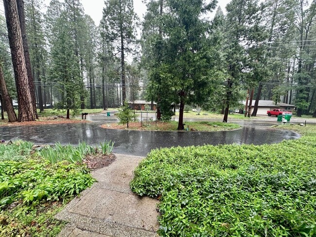 Photo - Spacious 4 Bedroom House on Banner Lava Cap Rd