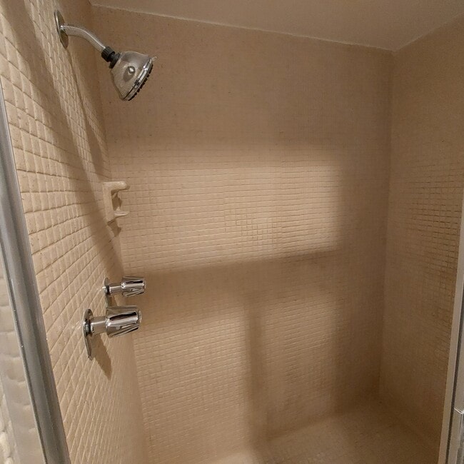 Master shower - 6605 Green Valley Cir Unidad 207