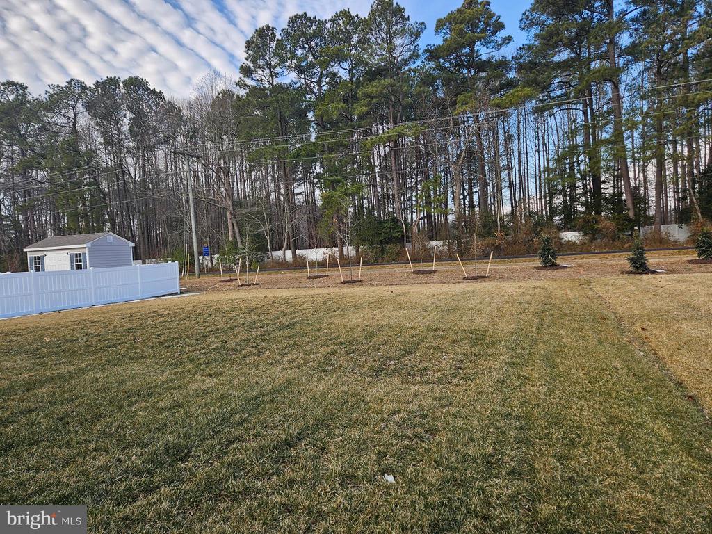 Photo - 31088 Clearwater Dr