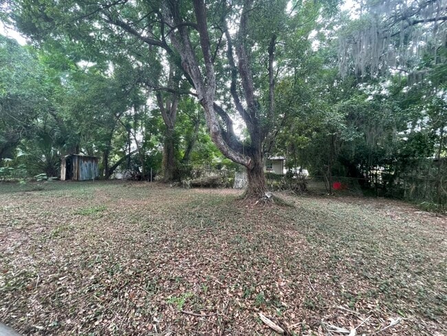 Photo - 702 Plumosa Ave