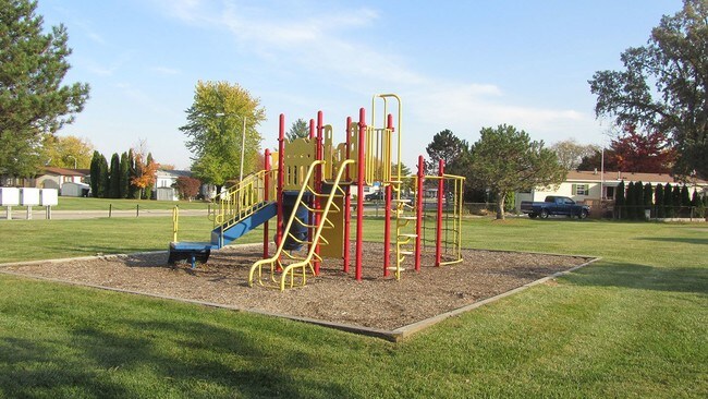 Photo - Shelby Forest