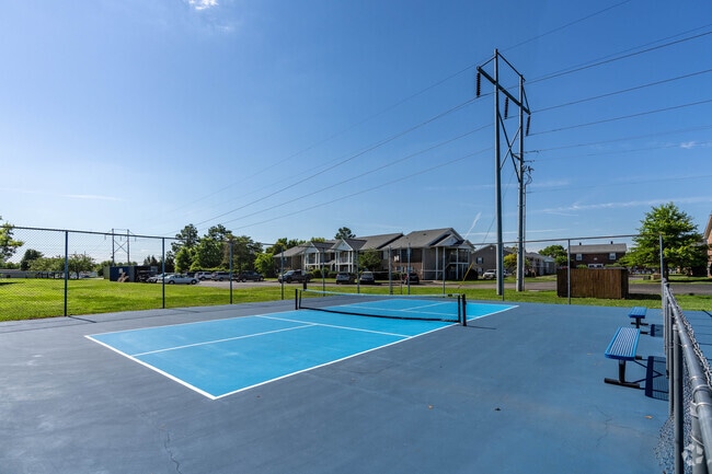 Pickleball Court
