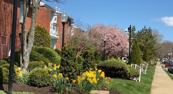 Spring Time at Park Place One - Park Place One Apartments