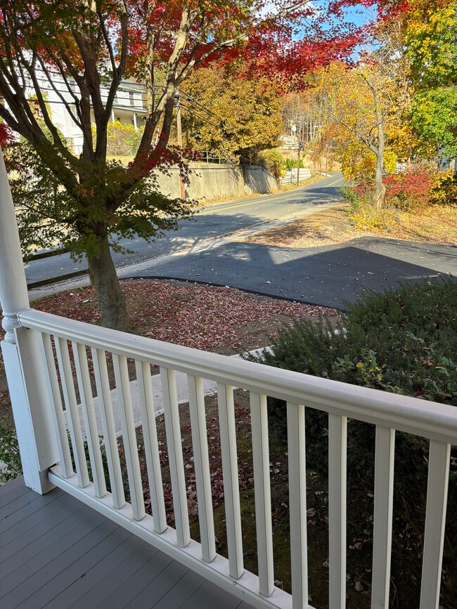 Street view from front porch - 210 Echo Lake Rd