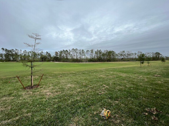 Building Photo - 3919 Crosswater Dr Rental