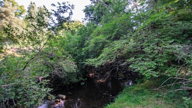 rear - 1301 Jones Dr