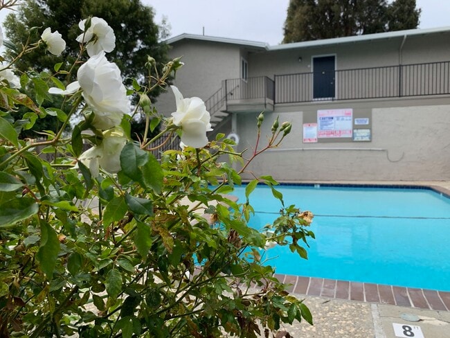 Del Prado II Apartments