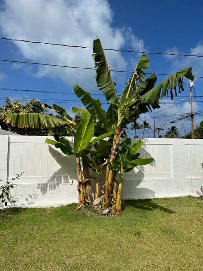 Photo - Available on 12/16/25, spacious 1570 sq ft, 3 Bedrooms, 2 Baths, 2 Car Garage Single-Family Home ...