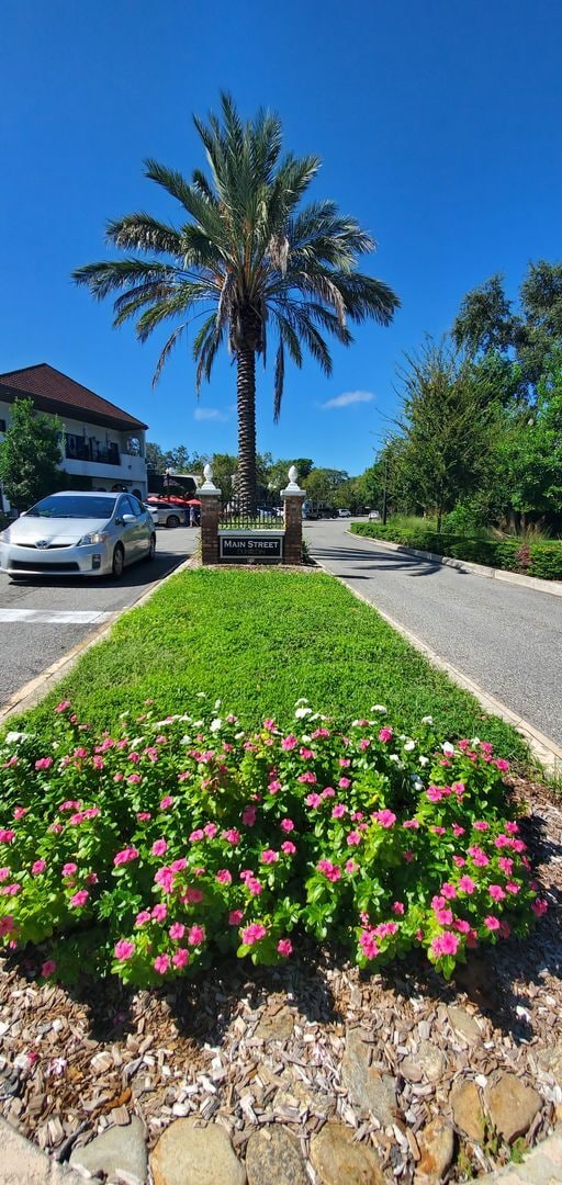 Photo - YOUR HAPPY PLACE IN DUNEDIN