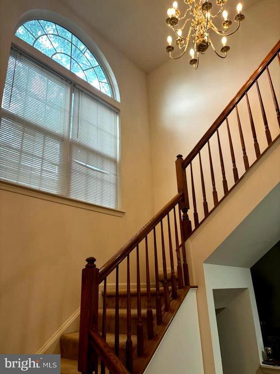 8941 Wynnefield Ct Rental House Rental in Lorton, VA