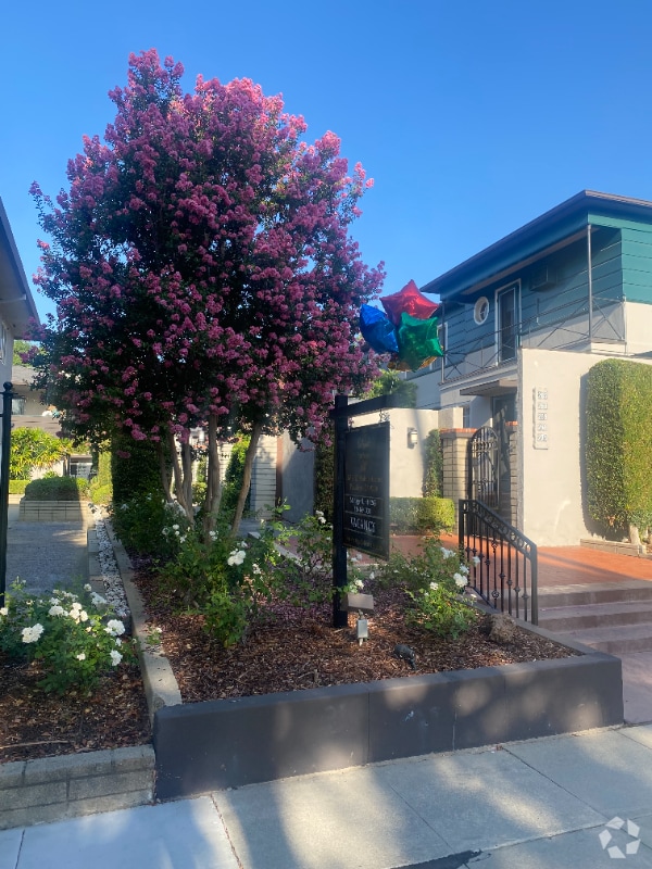 Building Photo - 271 S El Molino Ave Rental