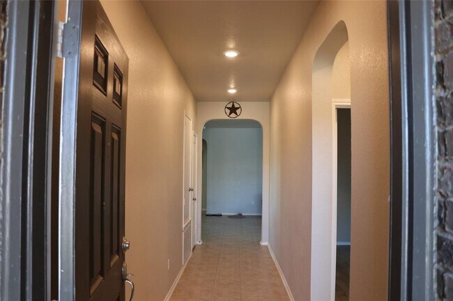 Photo - 321 Parrot Tulip View