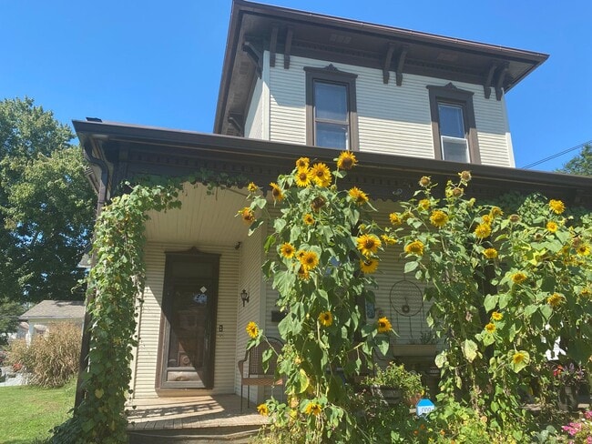 Building Photo - 239-241 South Maple Unit 241 South Maple St