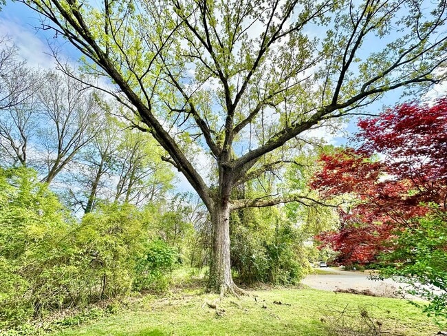 Photo - 621 Hanover Ct