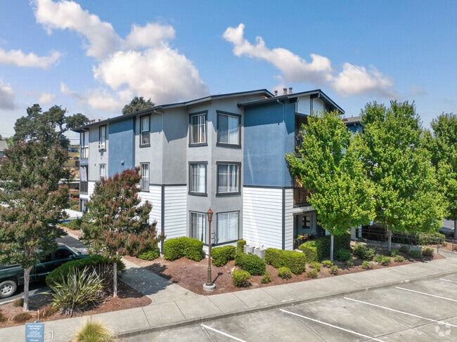 Acacia at Santa Rosa Creek - Acacia at Santa Rosa Creek