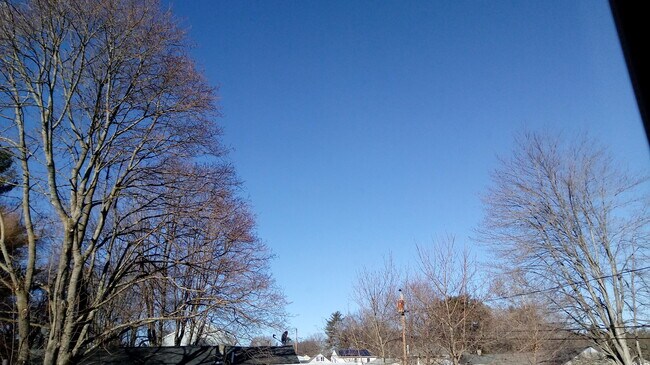 abuts 4+ Acre Park - 61 Pennichuck St Unit LowerLevel