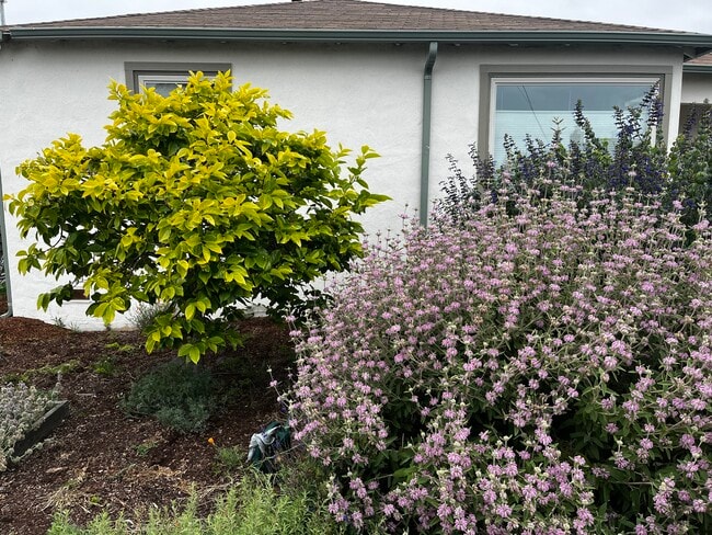 Building Photo - 2727 Gaynor Ave