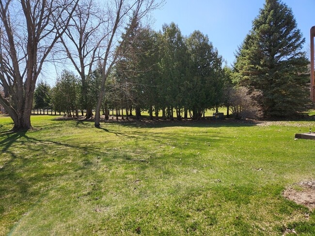 backyard - 631 Harrison St