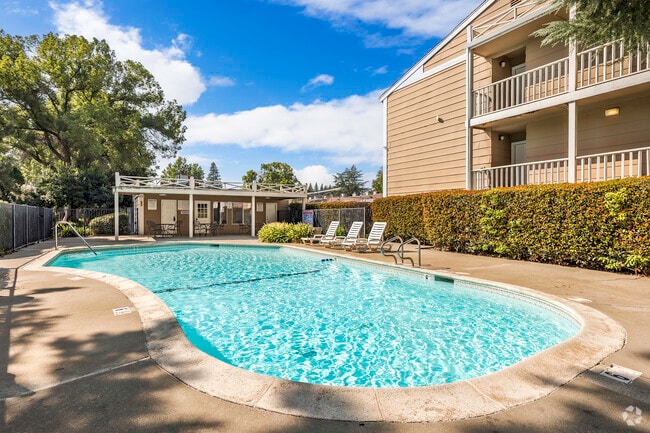 Piscina - The Grand at Park Ave