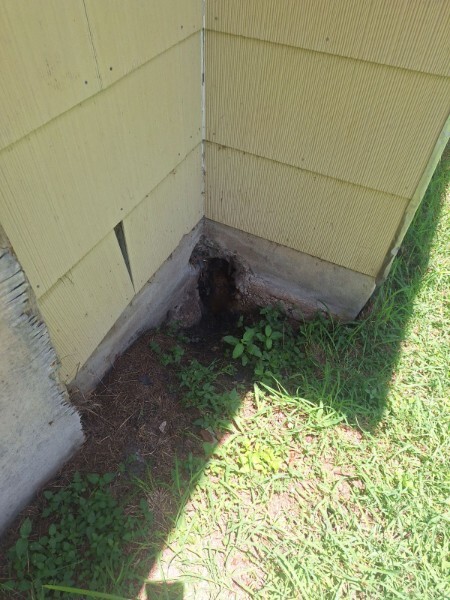 Photo - 1214 Edris Dr