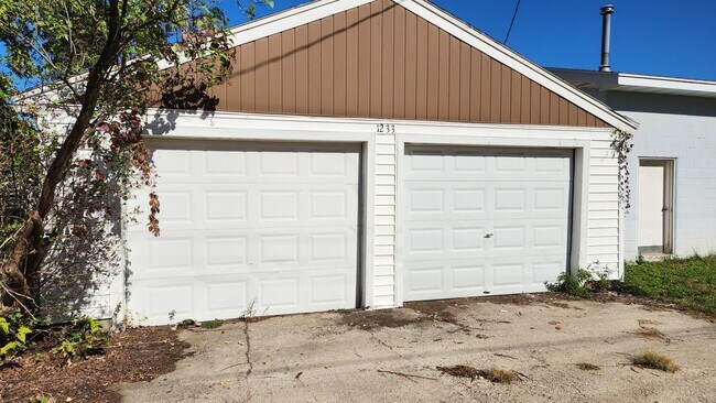 Photo - ds1233 Unit 1233