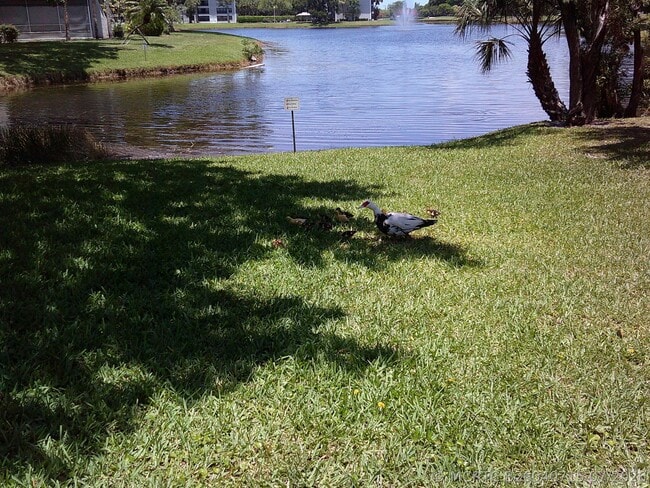 Photo - 9420 Poinciana Pl Unit 409