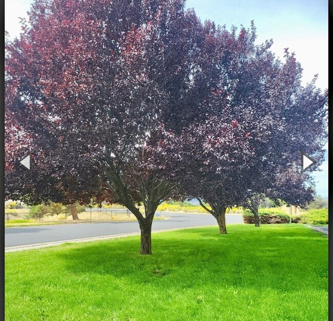 5425 Glenridge Wy
