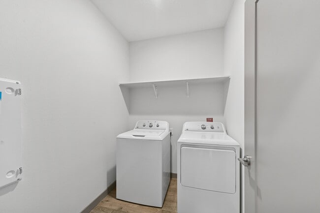 Photo - The Honeybell