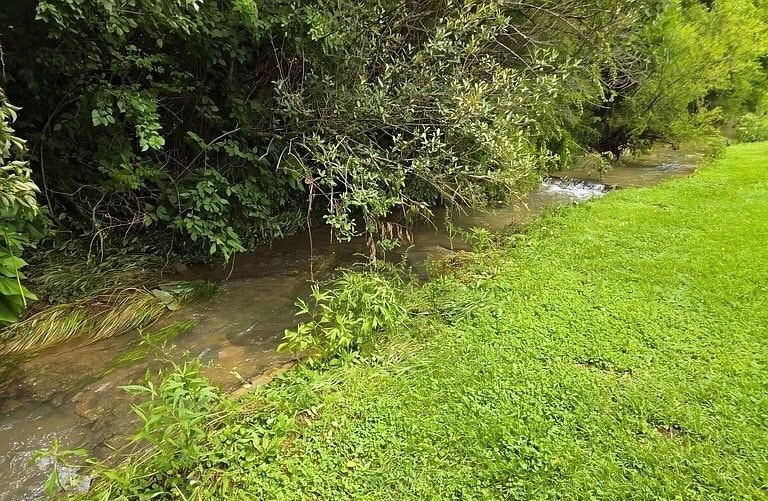 Photo - 1321 Twin Brook Dr