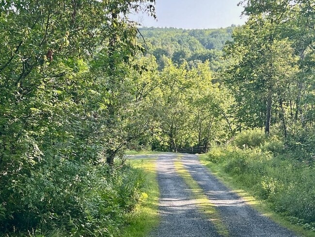 Photo - 5451 River Rd