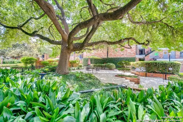 Photo - 8401 N New Braunfels Ave Unit 223