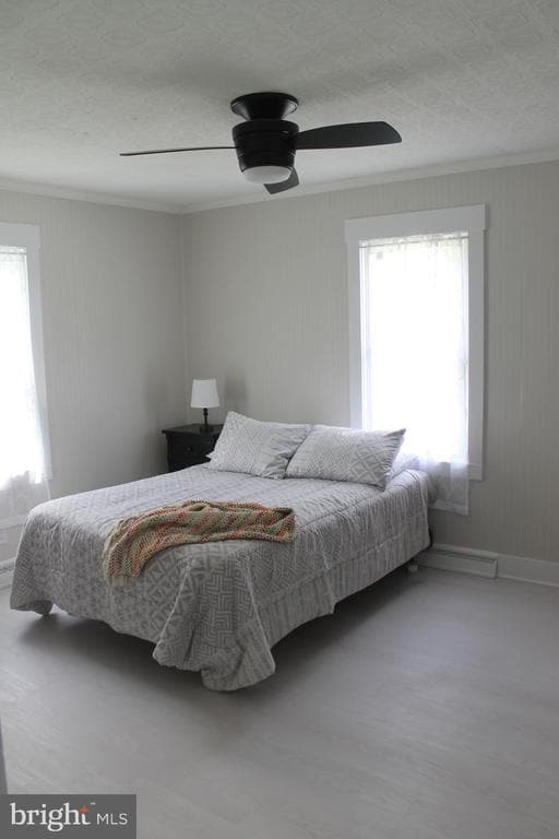 Photo - 3 Talbot Ave