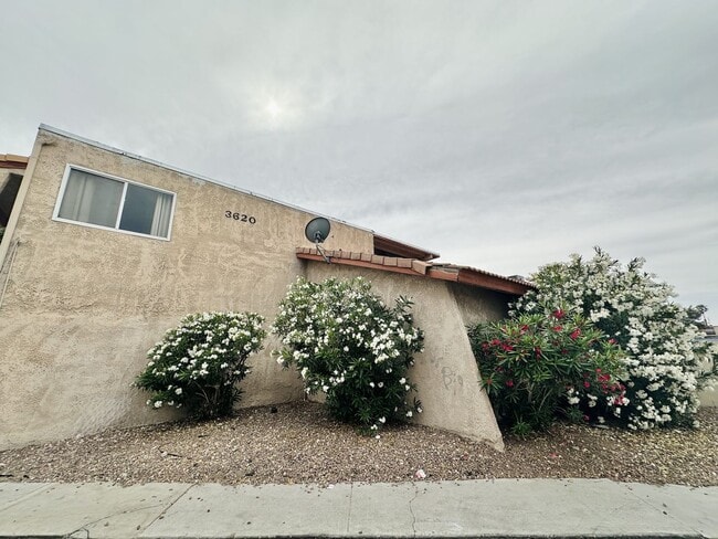 Building Photo - 3620 Ala Dr Unit 2