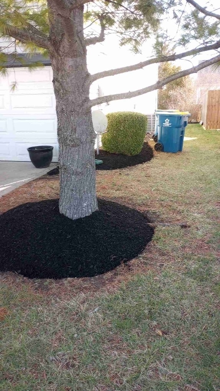 Photo - 10185 Lothbury Cir