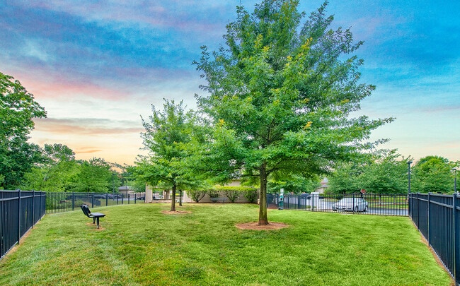 MAA Matthews Commons