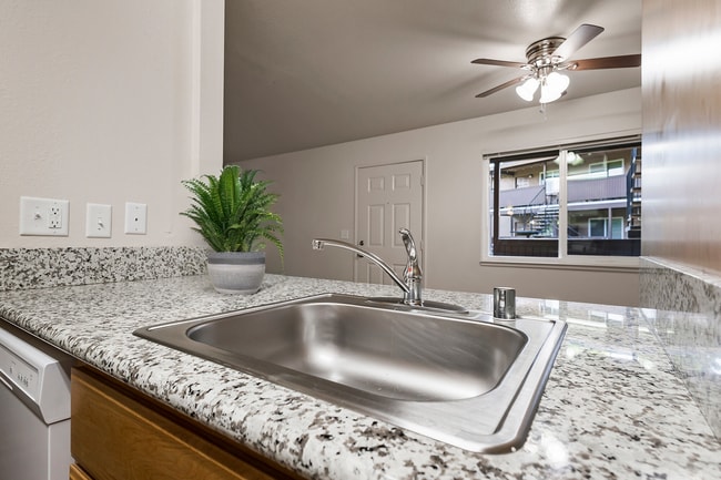 Photo - Pine Tree Apartments