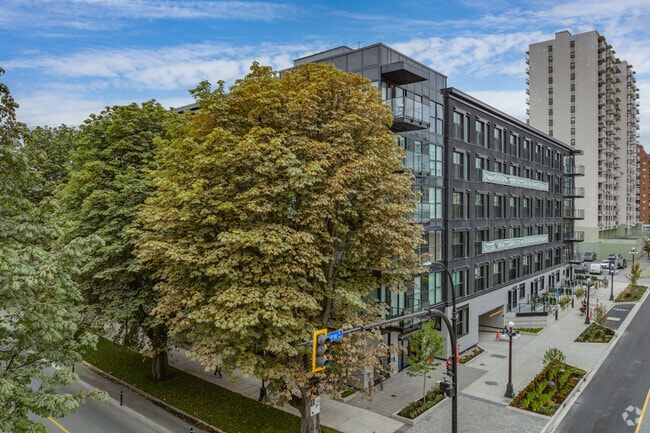 Photo - Raven Apartments